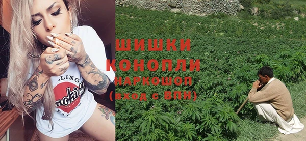 метадон Гусь-Хрустальный
