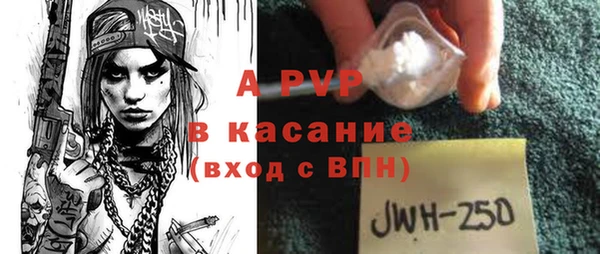стаф Гусев