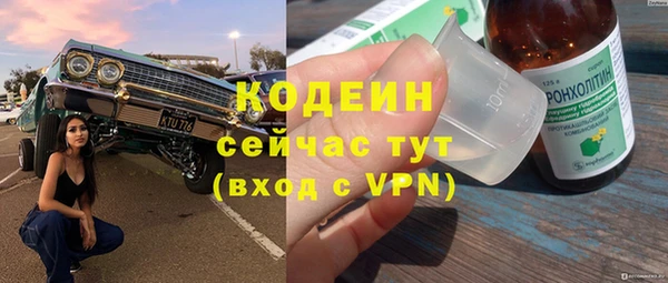 стаф Гусев