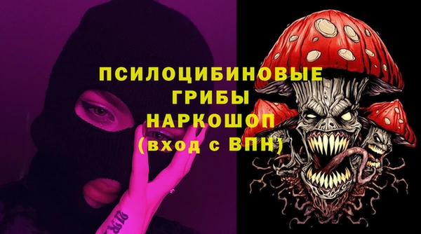 стаф Гусев