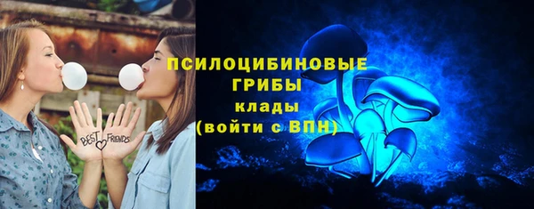 стаф Гусев