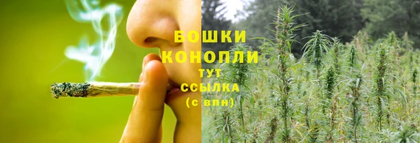 метадон Гусь-Хрустальный