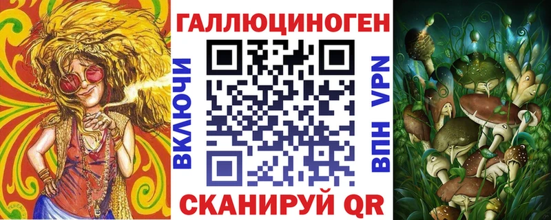 Галлюциногенные грибы Psilocybe  купить   Волгодонск 